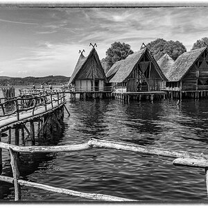 comp_D50_9016-Bearbeitet-2.jpg