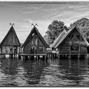 comp_D50_9020-Bearbeitet-2.jpg