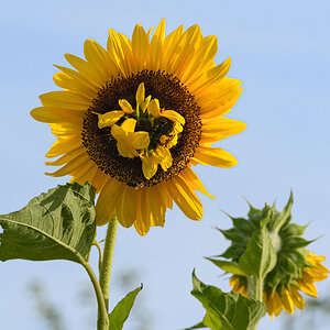 OF5_15063.jpg