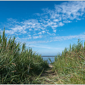 364 Sylt – Keitum Nochmal Gras und Himmel