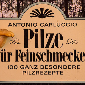 Pilze (1 von 1).JPG