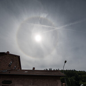Z62_2613.jpg