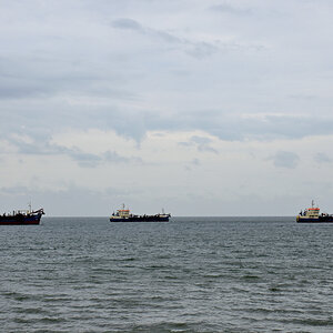 DSC_9391.JPG