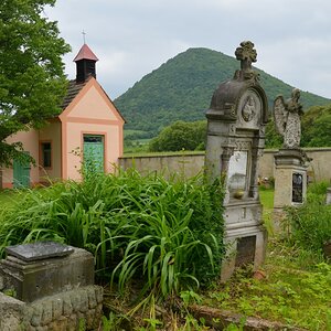 DSC_2463n1.JPG