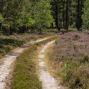 Sandweg (1 von 1).JPG