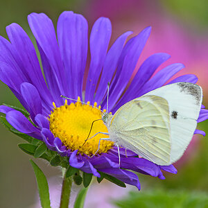 OF5_15159.jpg