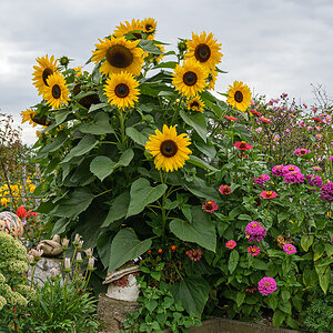 OF5_15116.jpg