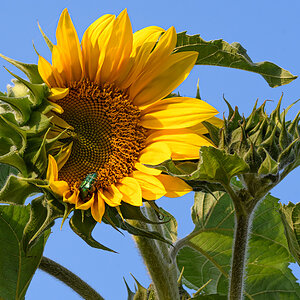 OF5_15277.jpg