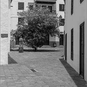 D75_6090.jpg