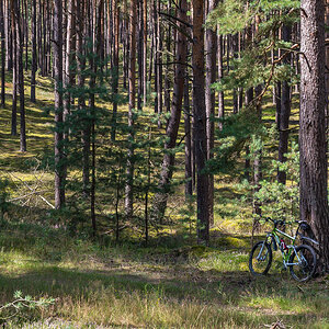 Mountainbike im Wierener Wald (1 von 1).JPG