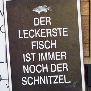 Schnitzel.jpg