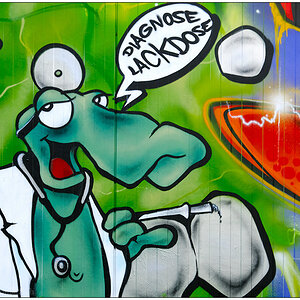 Velogalerie Kiel – Diagnose Lackdose