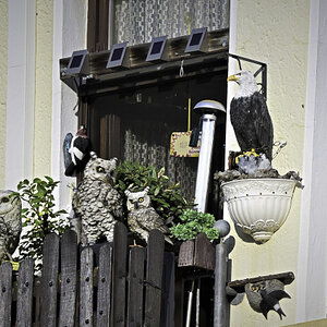 Fensterschmuck.jpg