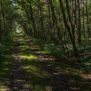 Moorweg (1 von 1).JPG