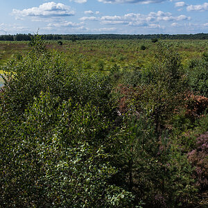 Schweimker Moor (1 von 1).JPG