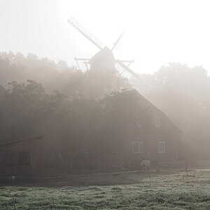 Mühle im Morgennebel.jpg