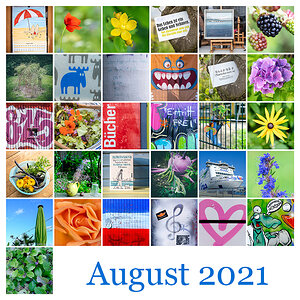 365 | 2021 Mosaik August 2021