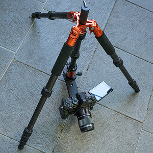 D61_0149.jpg