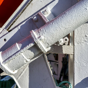_Z7F3874-NEF_DxO_DeepPRIME_209#.JPG