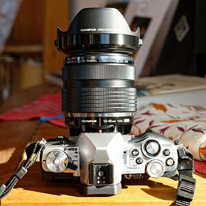 Olympus OM-D EM5II mit 12-40mm 2.8 Pro.jpg
