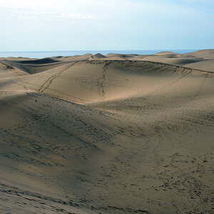 Reserva Natural Especial de Las Dunas.jpg