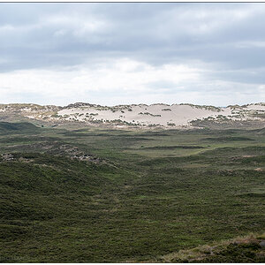 375 Sylt – Jensmettenberg II