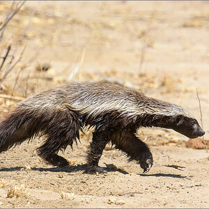 D72_1450-Bearbeitet.jpg