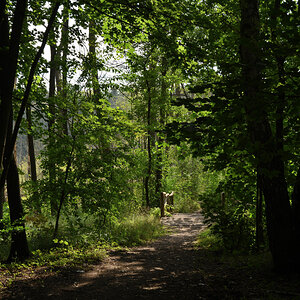 DSC_8797.JPG