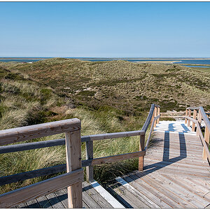 384 Sylt – Jensmettenberg IV