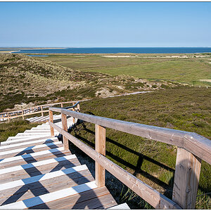 385 Sylt – Jensmettenberg V