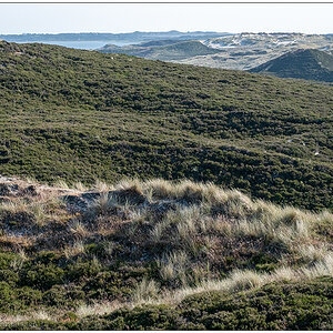 390 Sylt – Jensmettenberg X