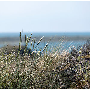 397 Sylt – Jensmettenberg XVII