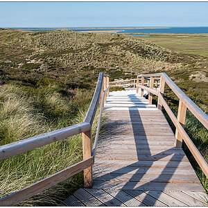 399 Sylt – Jensmettenberg XIX
