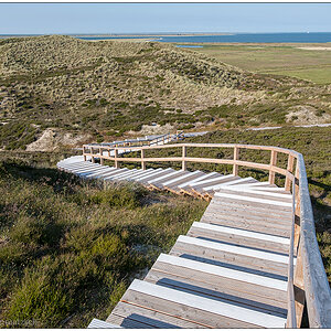 400 Sylt – Jensmettenberg XX