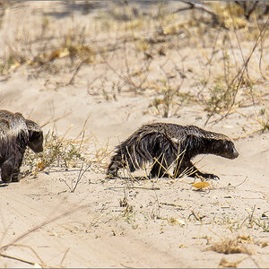 D72_1461-Bearbeitet.jpg