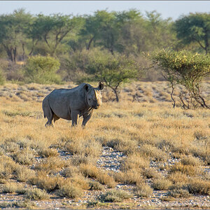 D72_4482-Bearbeitet.jpg