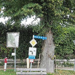 Lindenbank.jpg