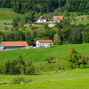 P9120039-Bearbeitet.jpg