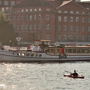 DSC_9520.JPG