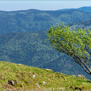 D75_8532.jpg