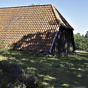 Kleiner Rundgang durch die Heide 1-5.JPG