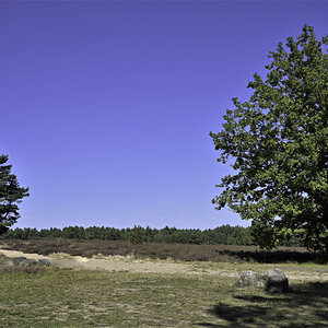 Kleiner Rundgang durch die Heide 4-5.JPG