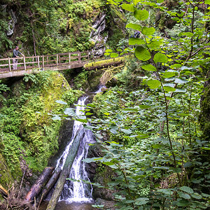 Lotenbachwasserfall.jpg