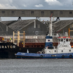 F80_3533-_227#.JPG