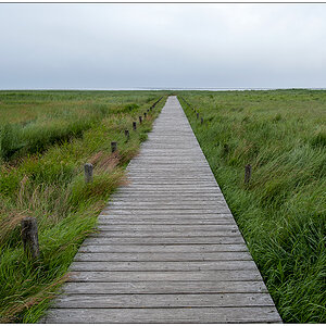 408 Sylt – Steg ins Watt bei Kampen
