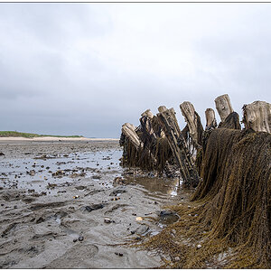 409 Sylt – Buhne im Watt bei Kampen