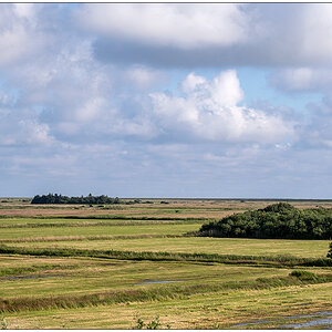 412 Sylt – Auf dem Autozug mit Blick zum Nössedeich