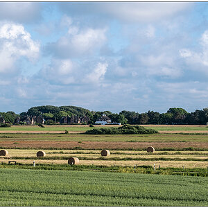 413 Sylt – Auf dem Autozug mit Blick nach Archsum I