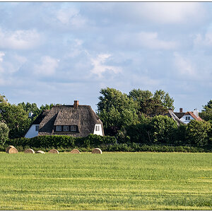 414 Sylt – Auf dem Autozug mit Blick nach Archsum II