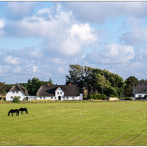 415 Sylt – Auf dem Autozug mit Blick nach Archsum III